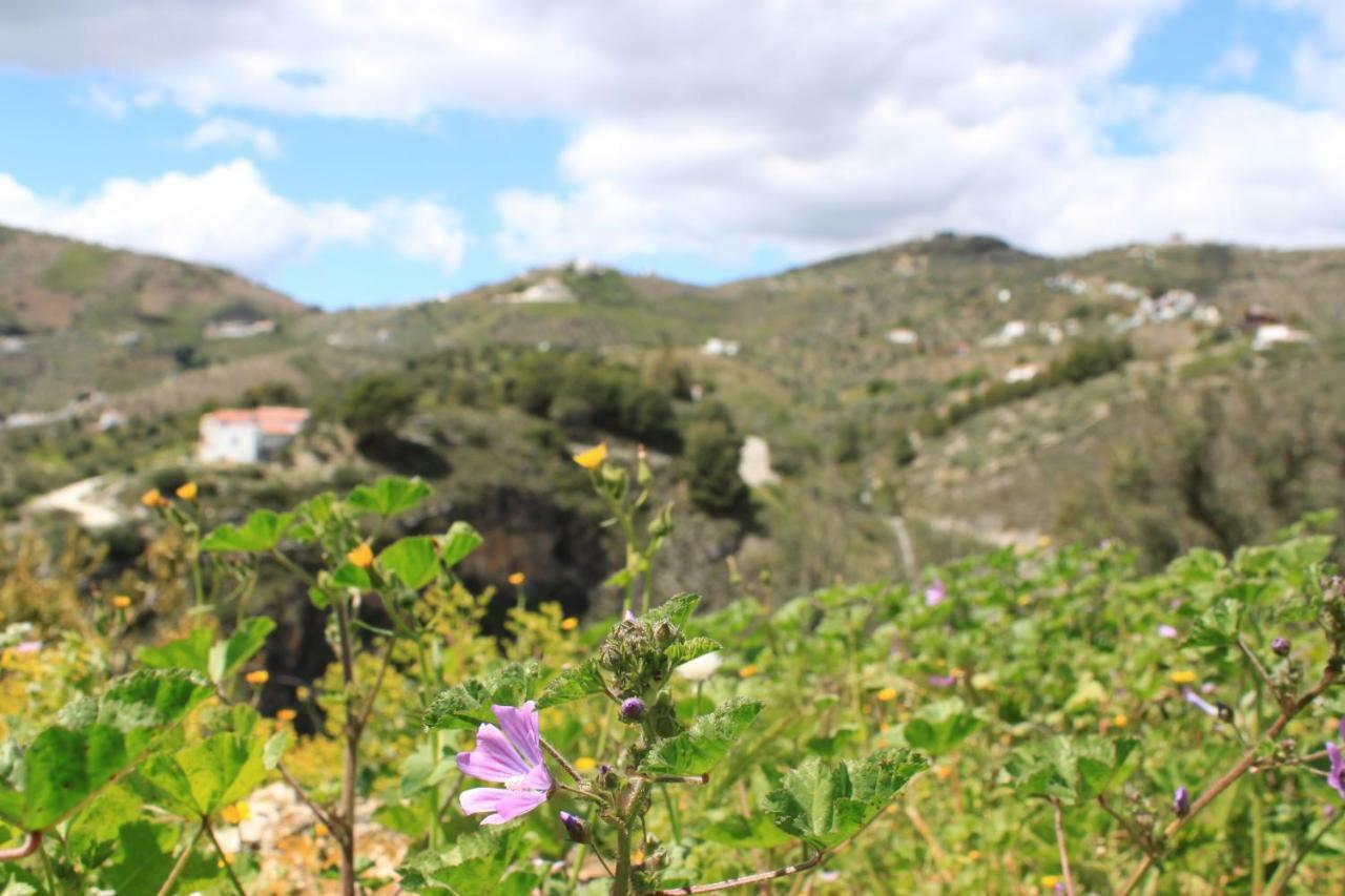 Casadubislav Daire Canillas de Albaida Dış mekan fotoğraf