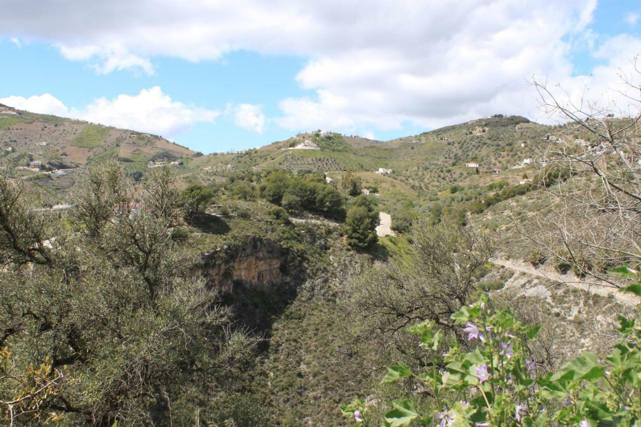 Casadubislav Daire Canillas de Albaida Dış mekan fotoğraf