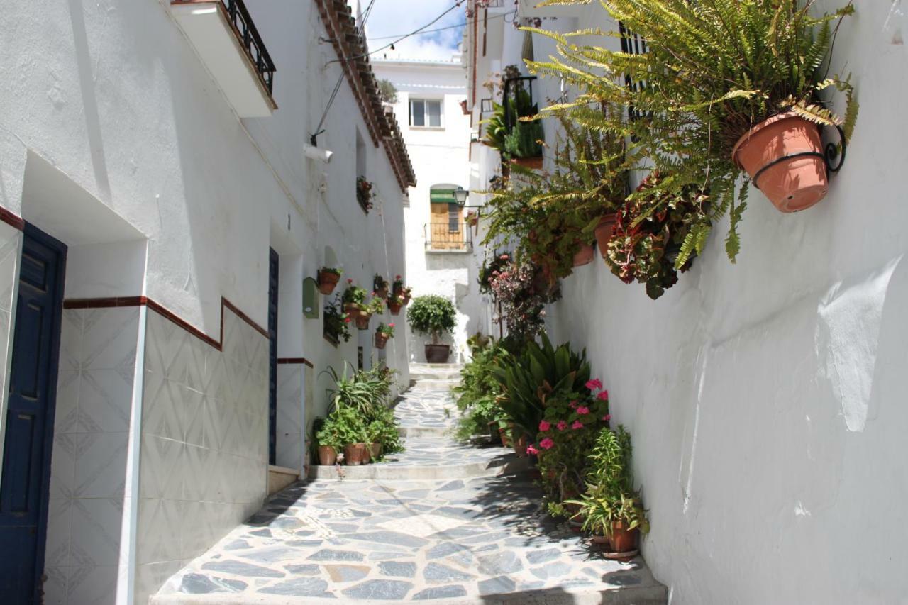 Casadubislav Daire Canillas de Albaida Dış mekan fotoğraf