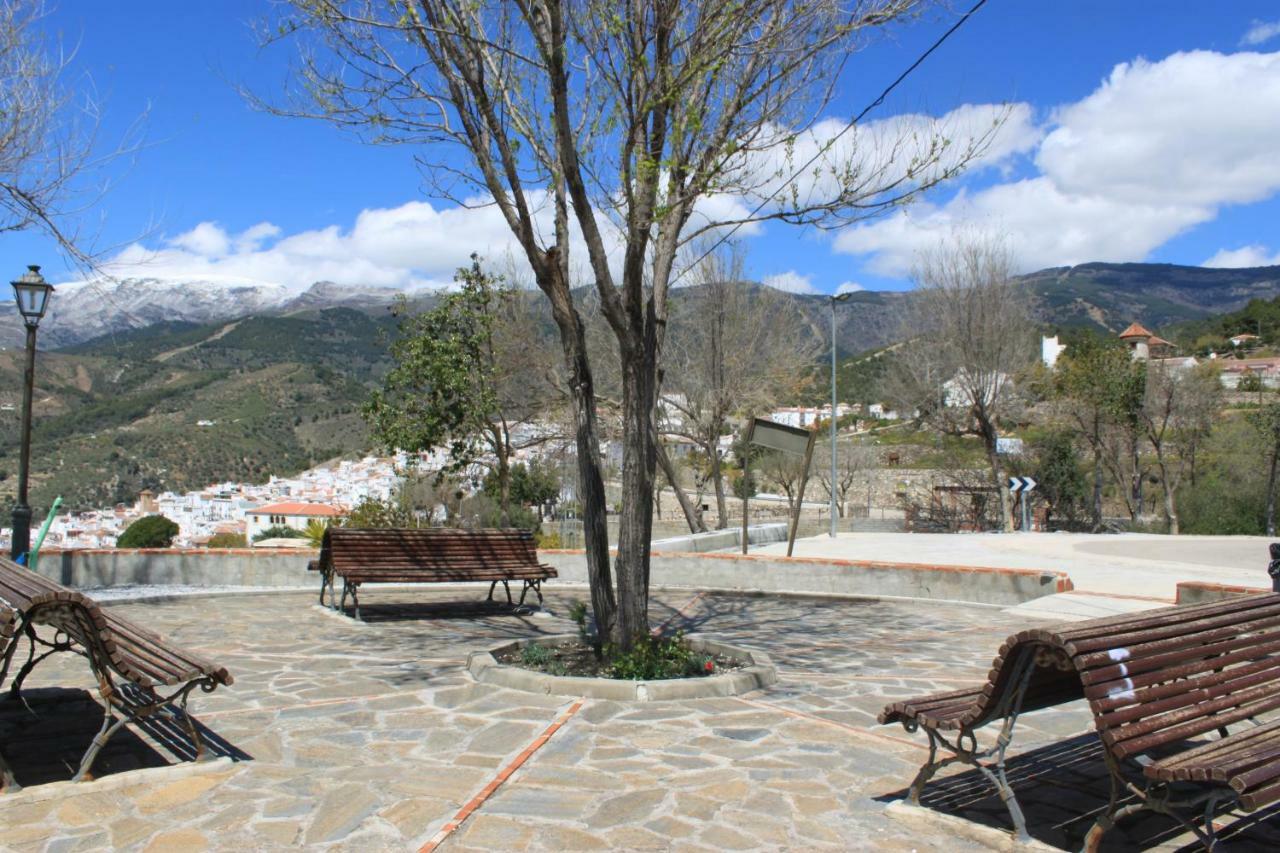 Casadubislav Daire Canillas de Albaida Dış mekan fotoğraf