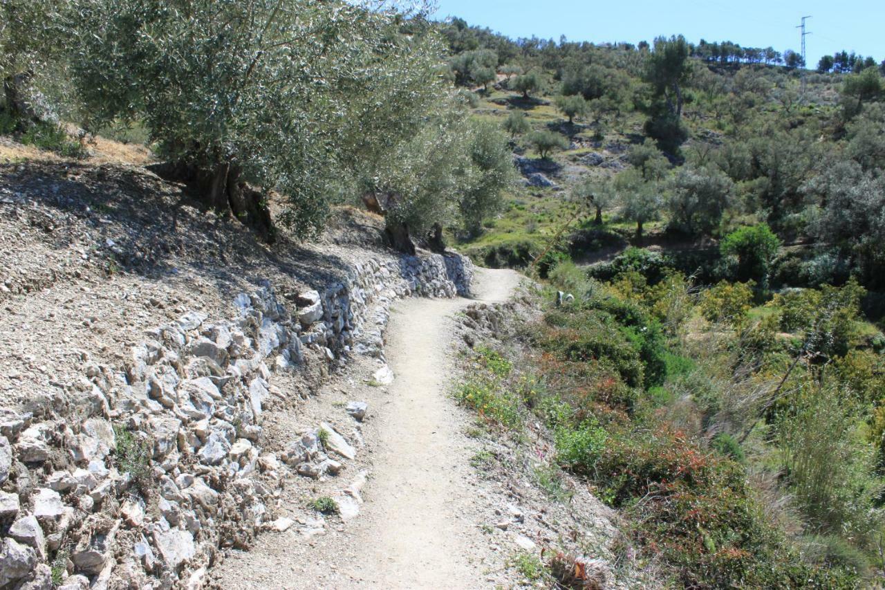 Casadubislav Daire Canillas de Albaida Dış mekan fotoğraf