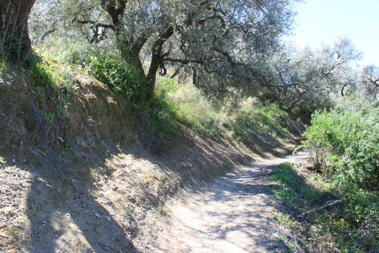 Casadubislav Daire Canillas de Albaida Dış mekan fotoğraf