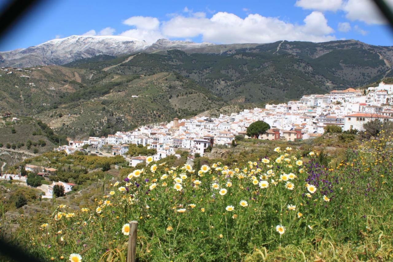 Casadubislav Daire Canillas de Albaida Dış mekan fotoğraf