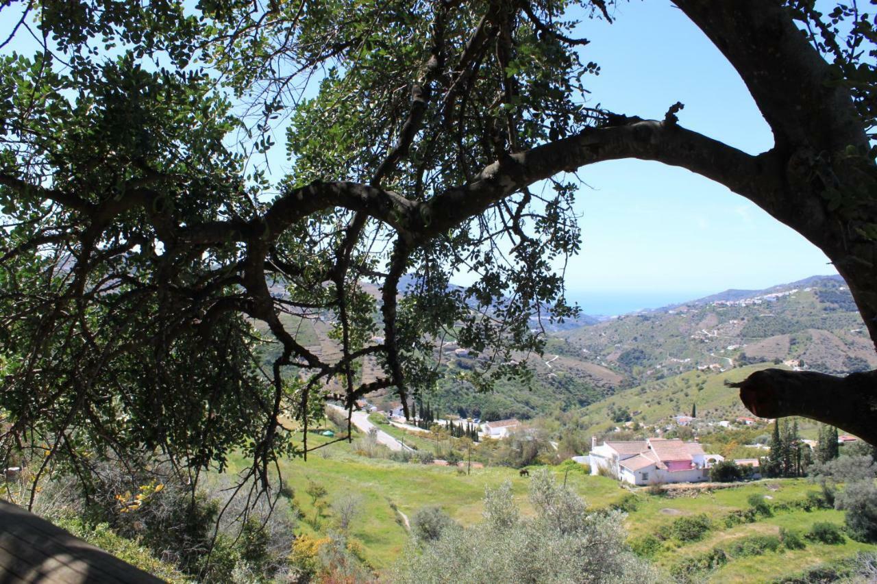 Casadubislav Daire Canillas de Albaida Dış mekan fotoğraf